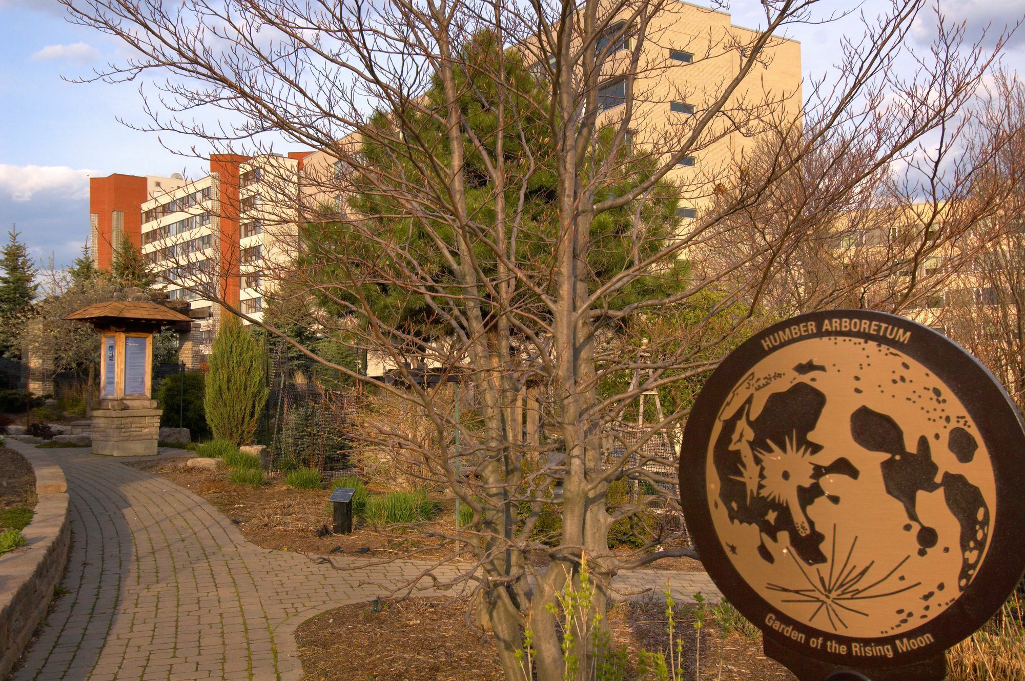 Humber College North Campus Residence Brampton Buitenkant foto